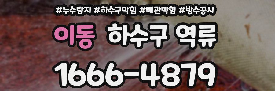 이동 하수구 역류
