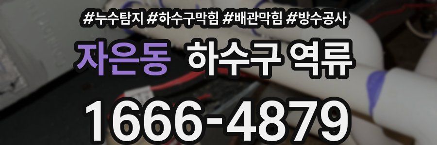 자은동 하수구 역류