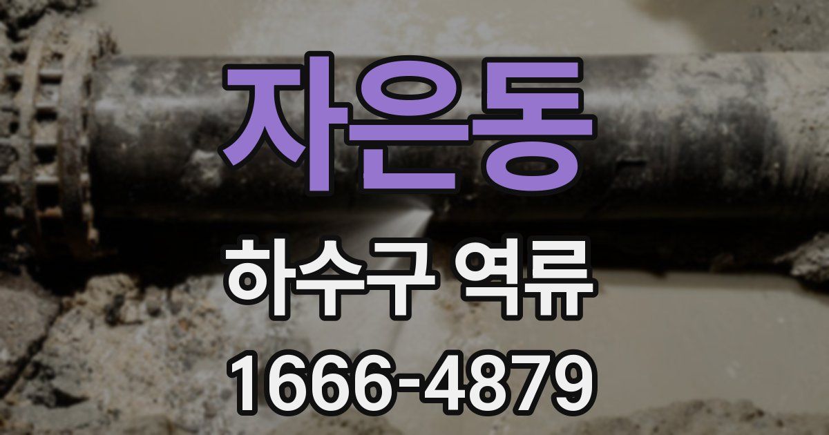 자은동 하수구 역류