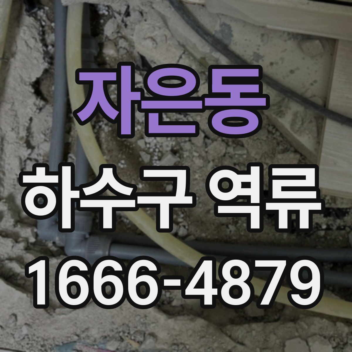 자은동 하수구 역류