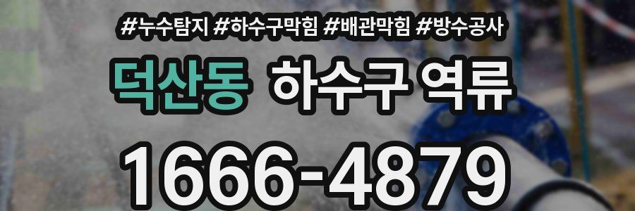 덕산동 하수구 역류