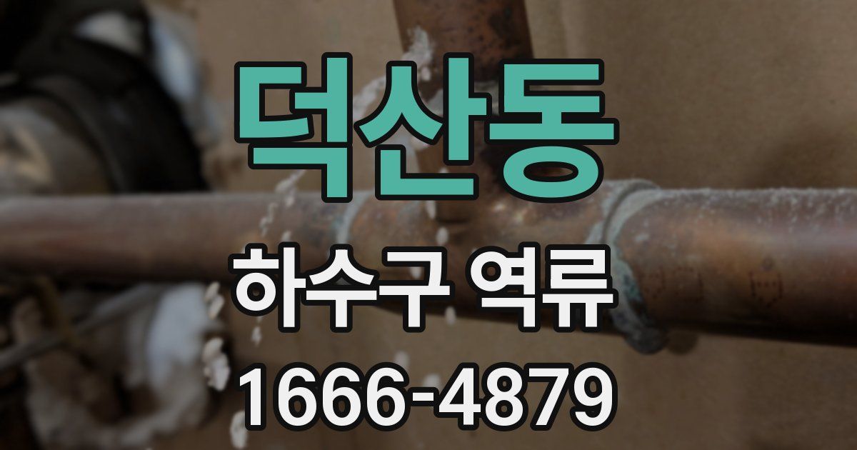 덕산동 하수구 역류