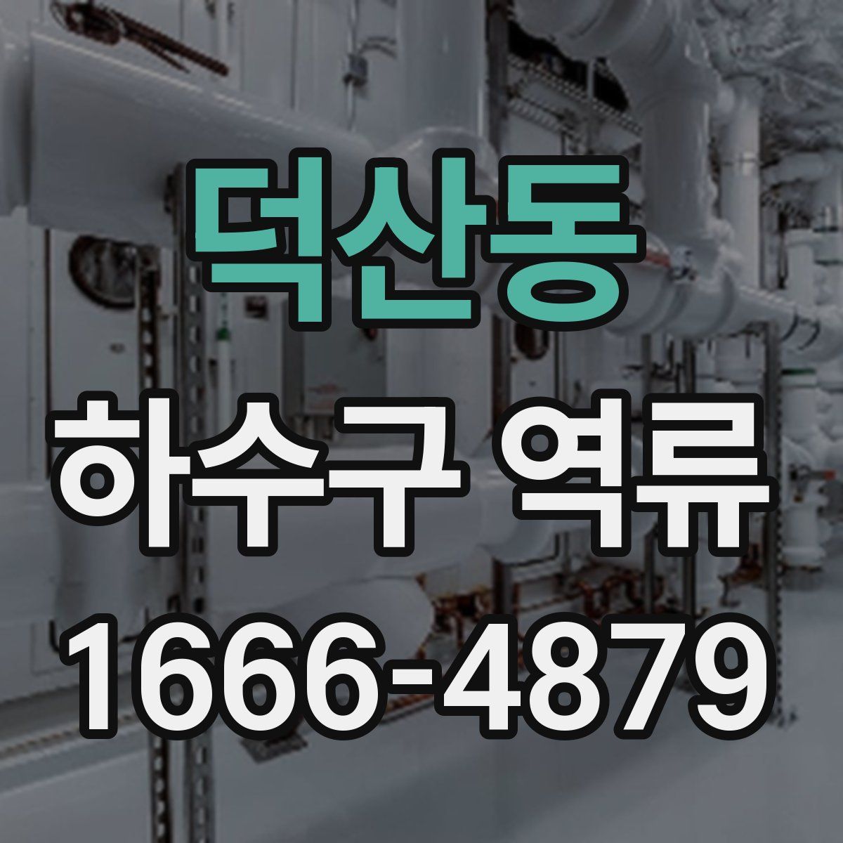덕산동 하수구 역류