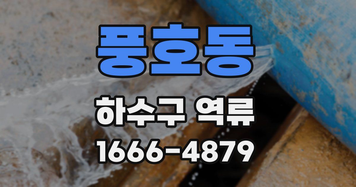 풍호동 하수구 역류