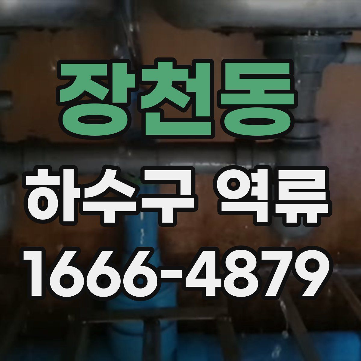 장천동 하수구 역류