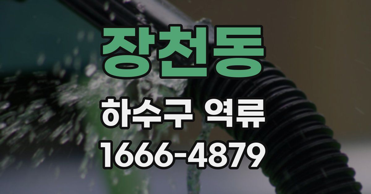 장천동 하수구 역류