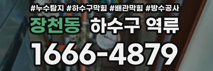 장천동 하수구 역류