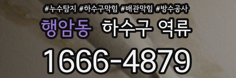 행암동 하수구 역류