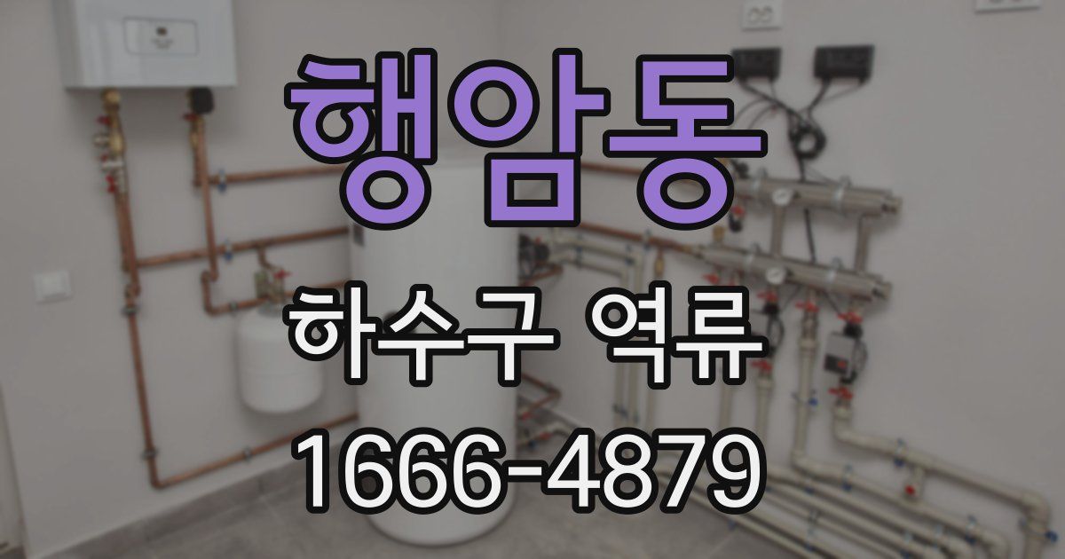 행암동 하수구 역류