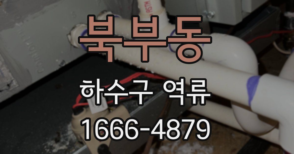 북부동 하수구 역류