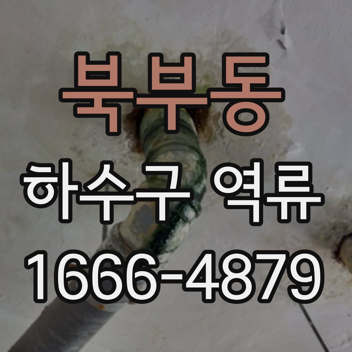 북부동 하수구 역류
