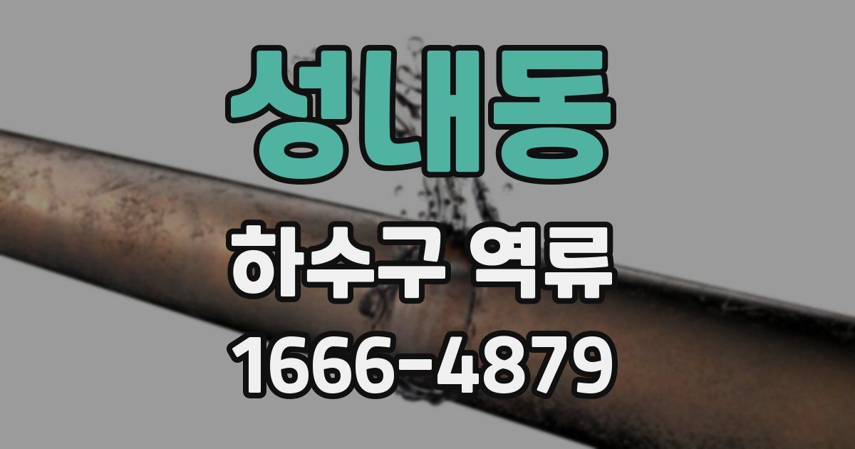 성내동 하수구 역류