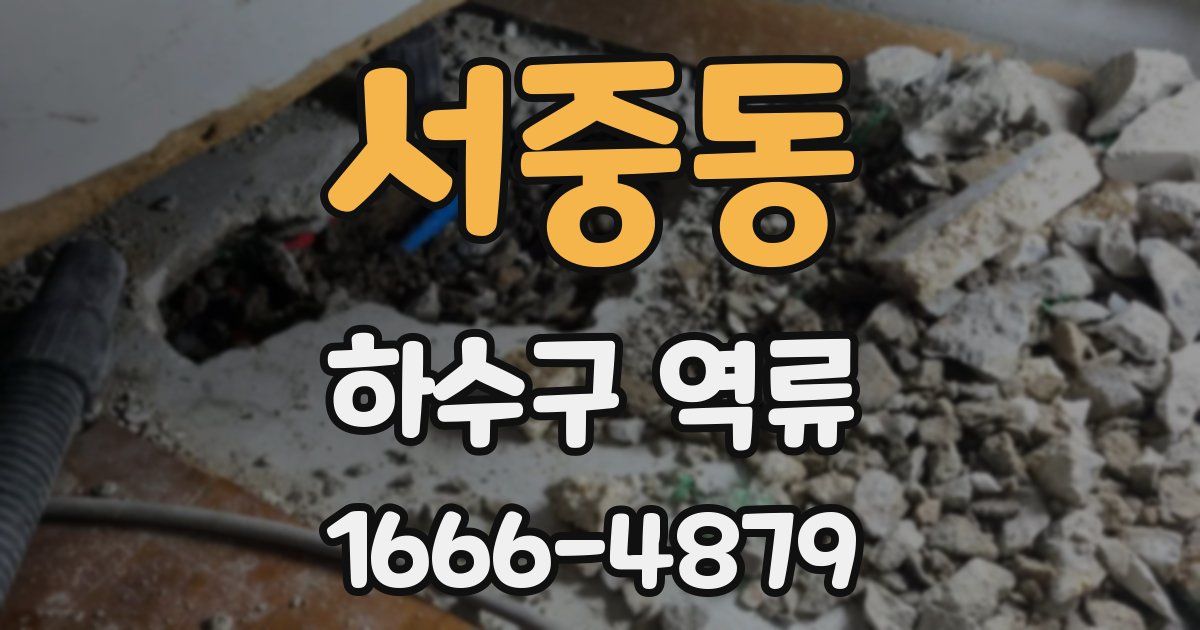 서중동 하수구 역류
