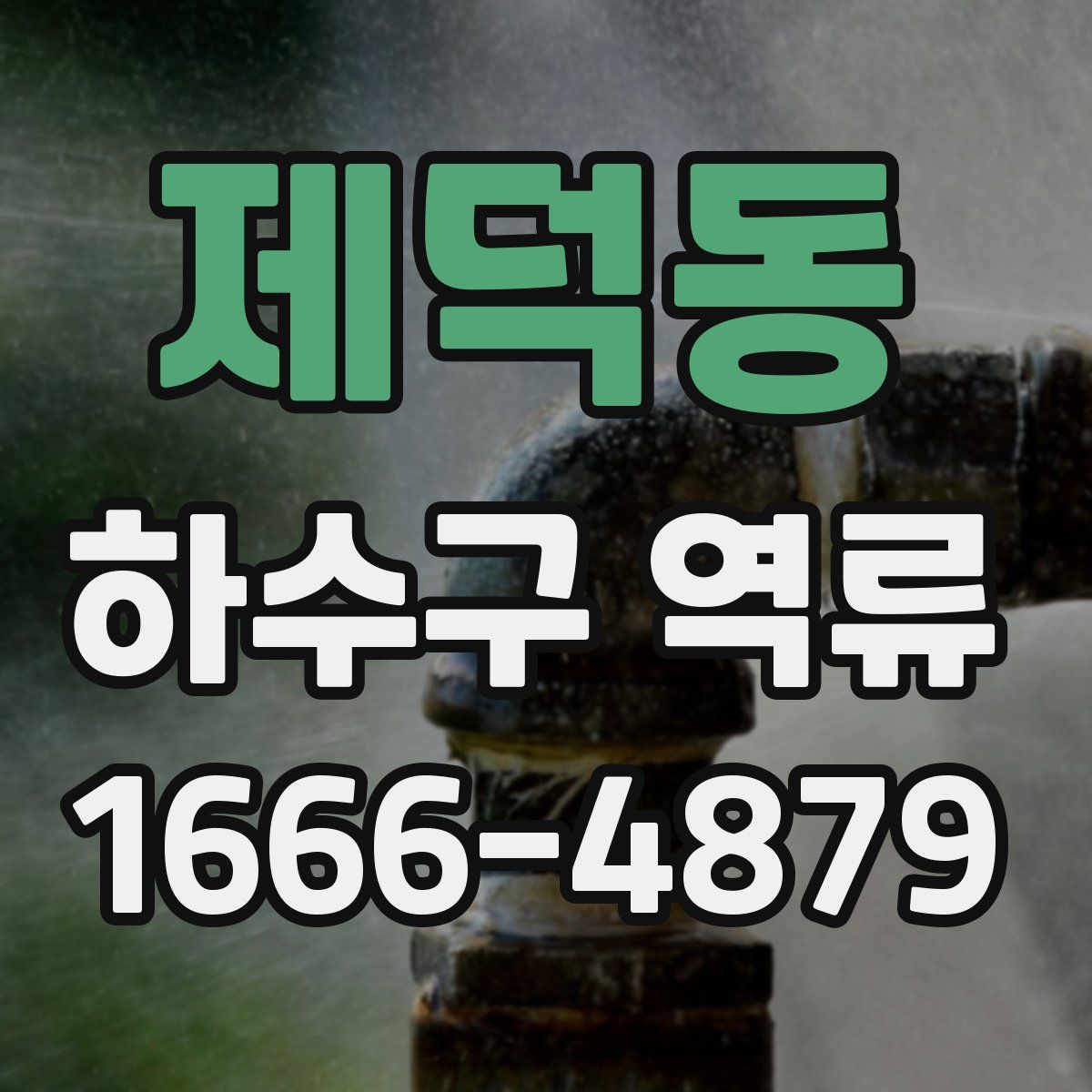 제덕동 하수구 역류