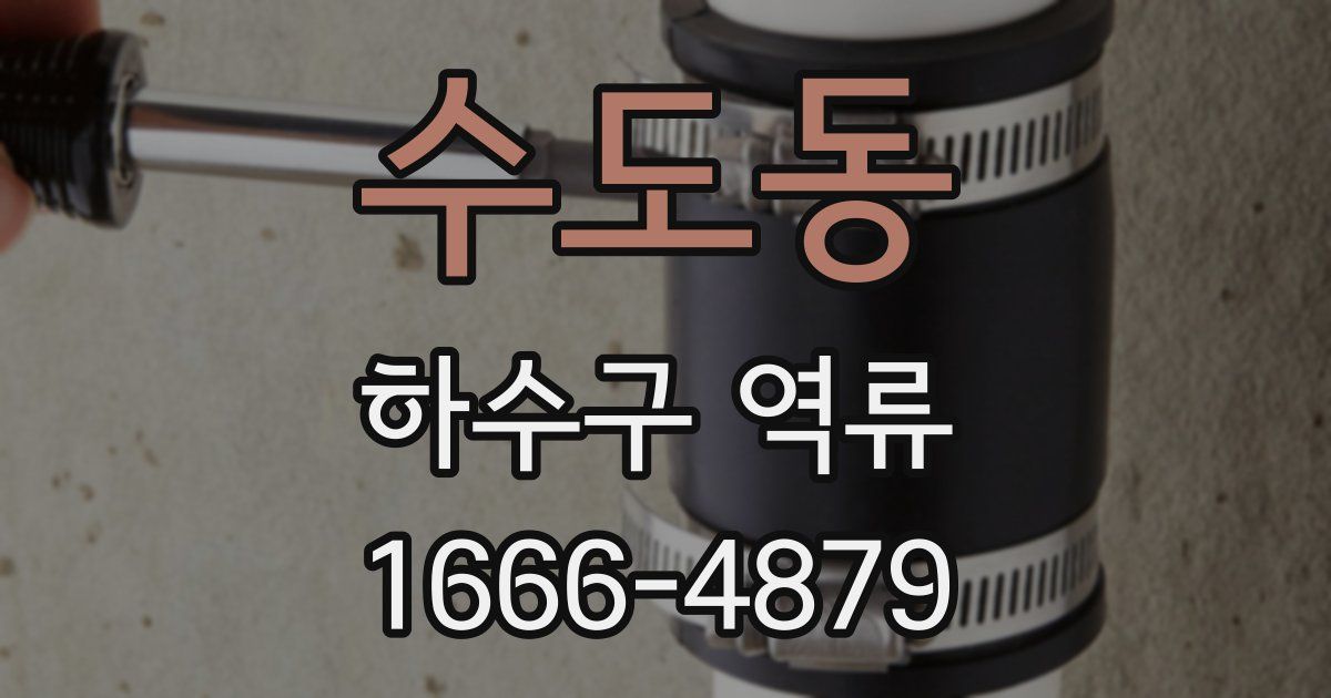 수도동 하수구 역류