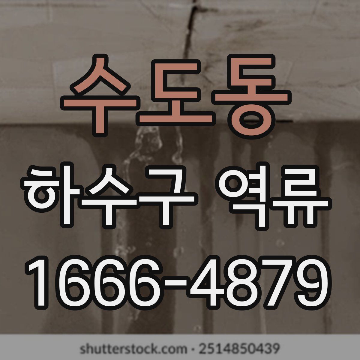 수도동 하수구 역류
