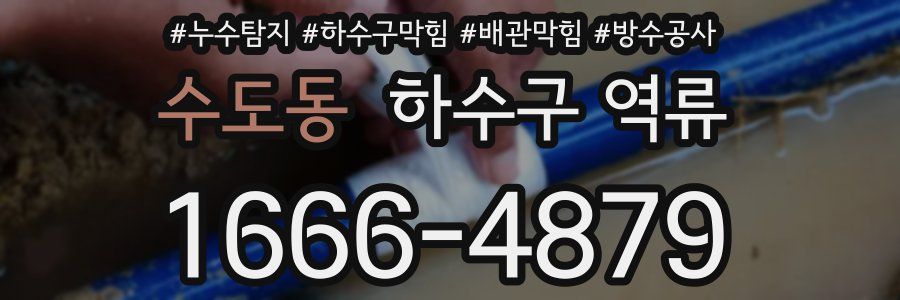 수도동 하수구 역류