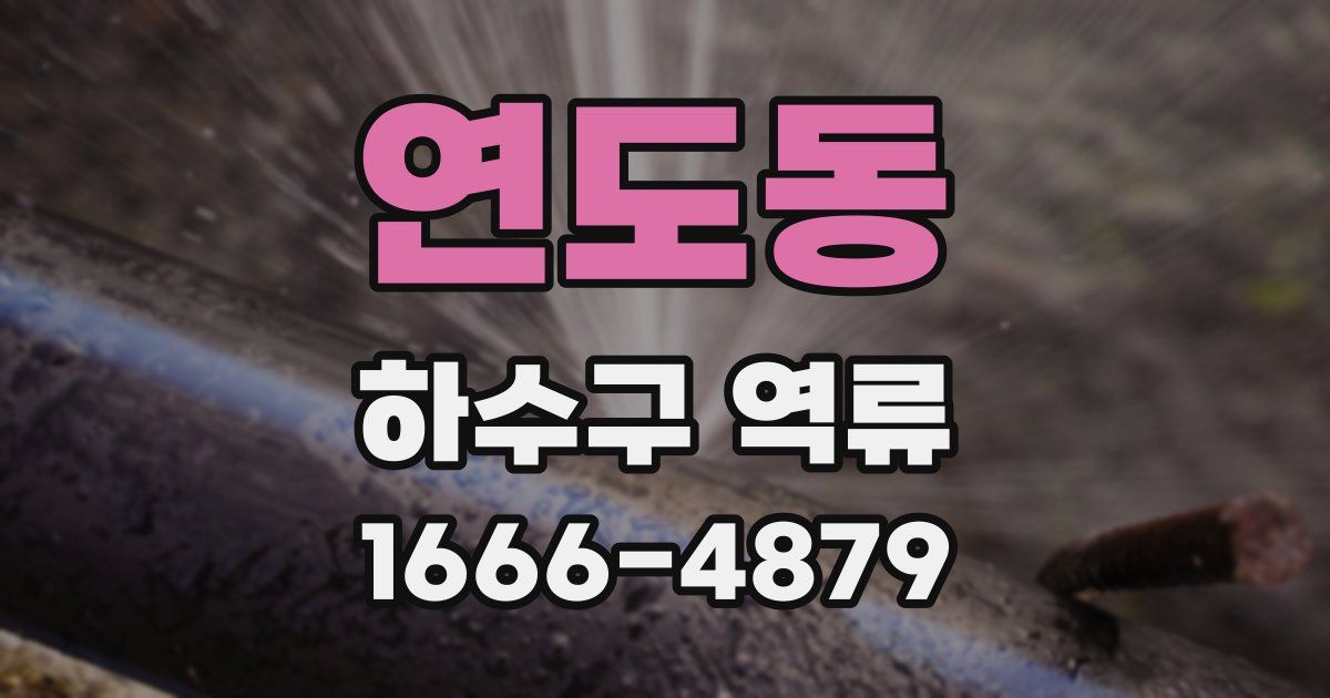 연도동 하수구 역류