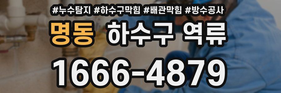 명동 하수구 역류