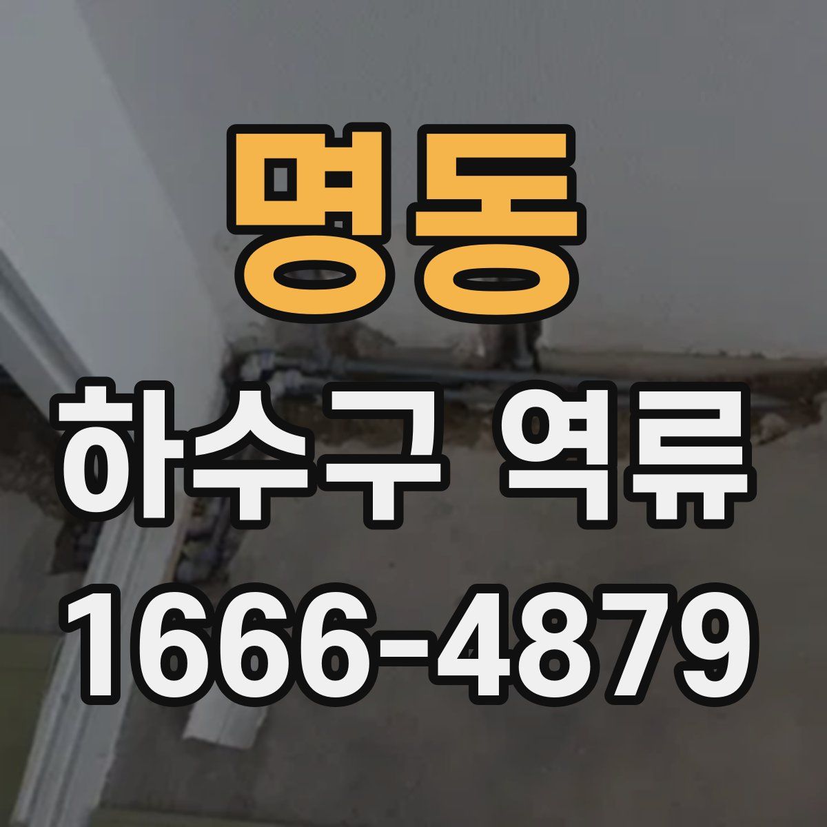 명동 하수구 역류
