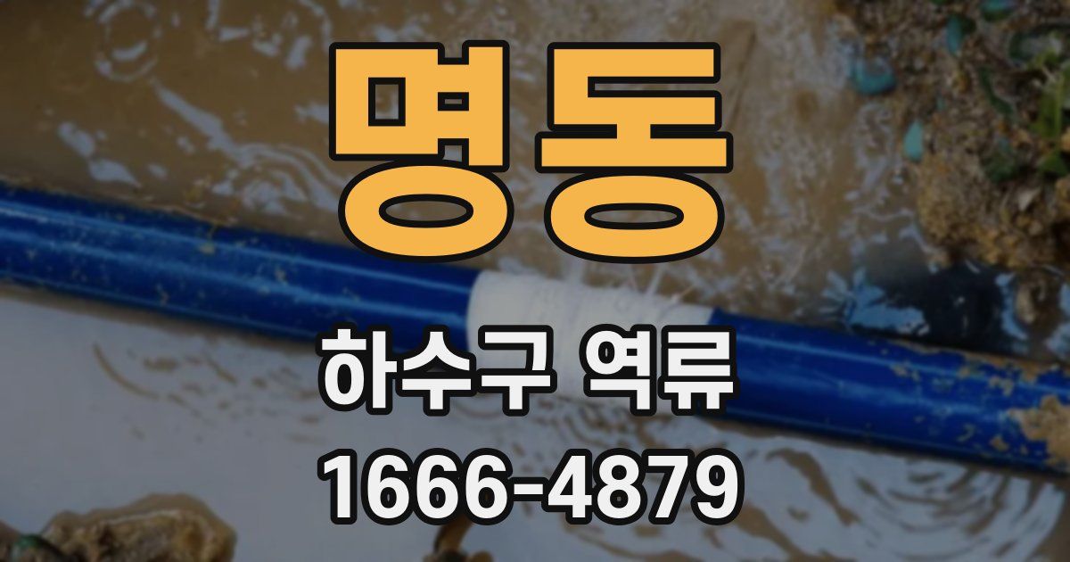 명동 하수구 역류