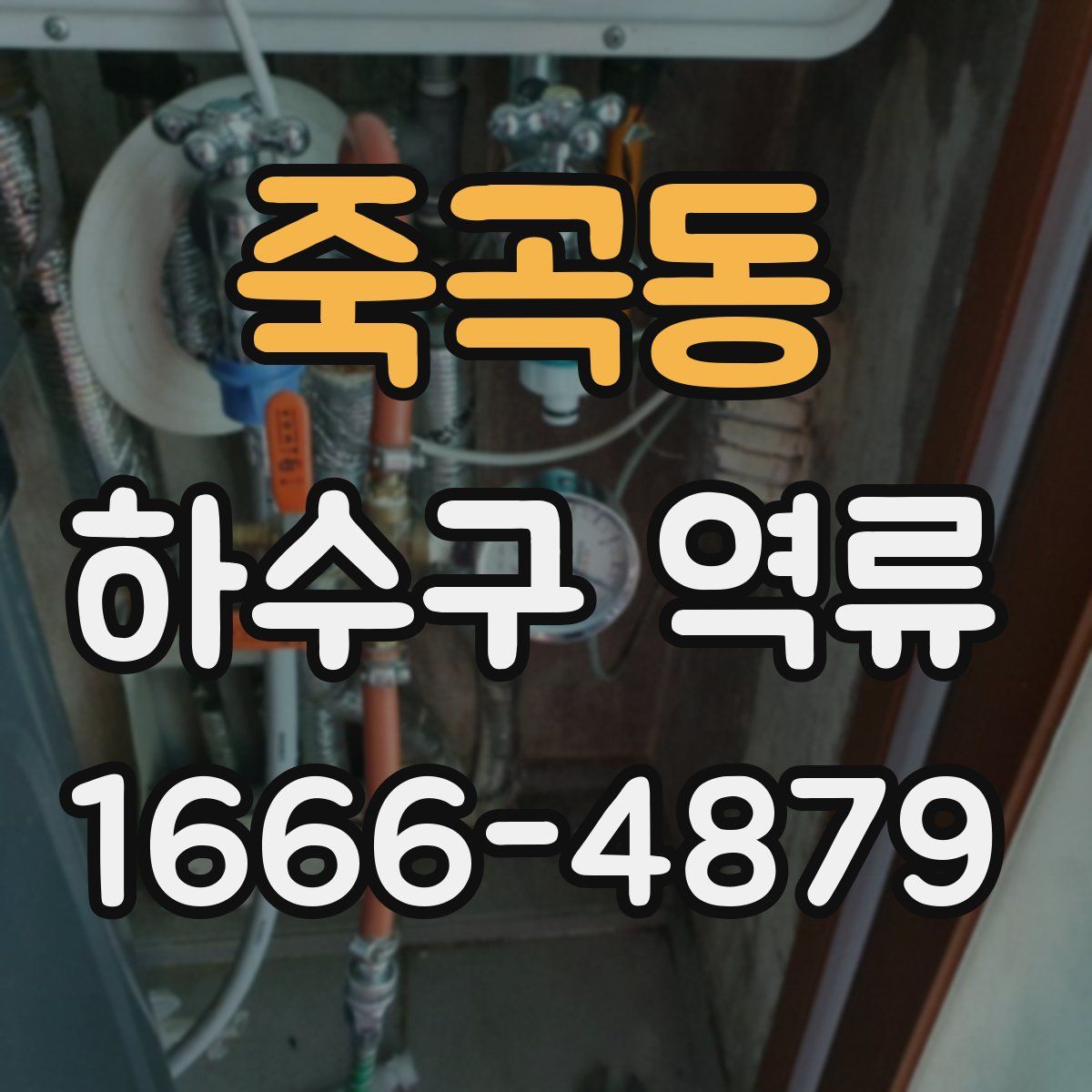 죽곡동 하수구 역류