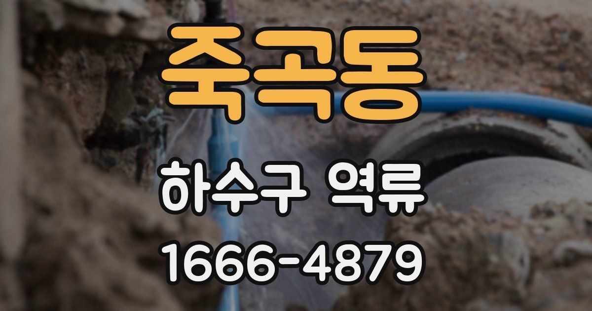 죽곡동 하수구 역류