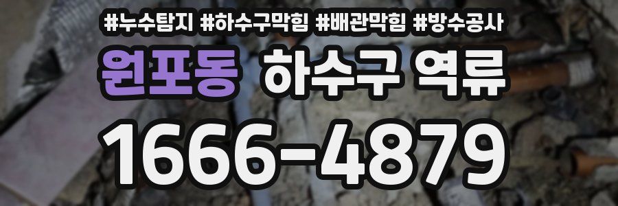 원포동 하수구 역류