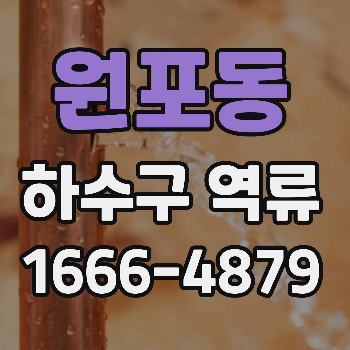 원포동 하수구 역류