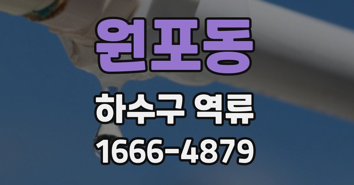 원포동 하수구 역류