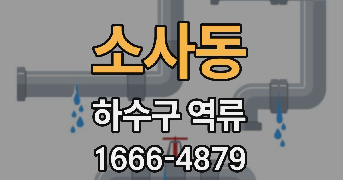 소사동 하수구 역류