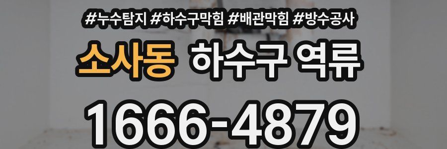 소사동 하수구 역류