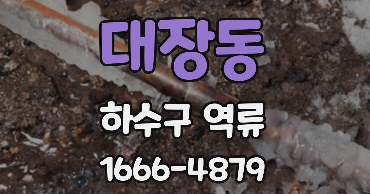 대장동 하수구 역류