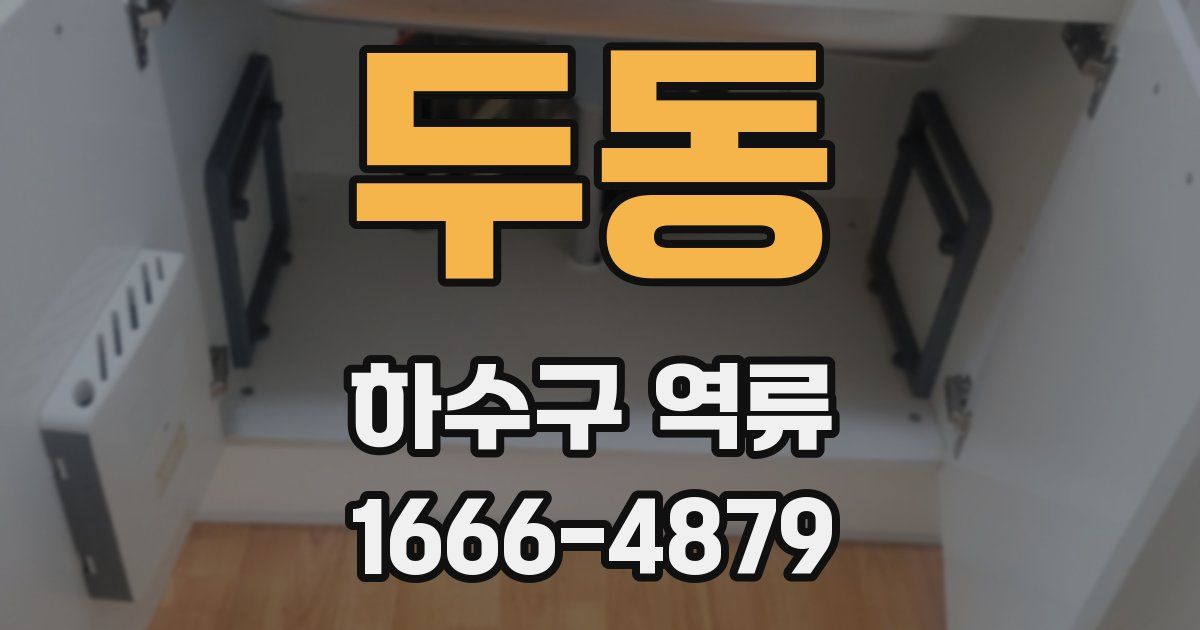 두동 하수구 역류
