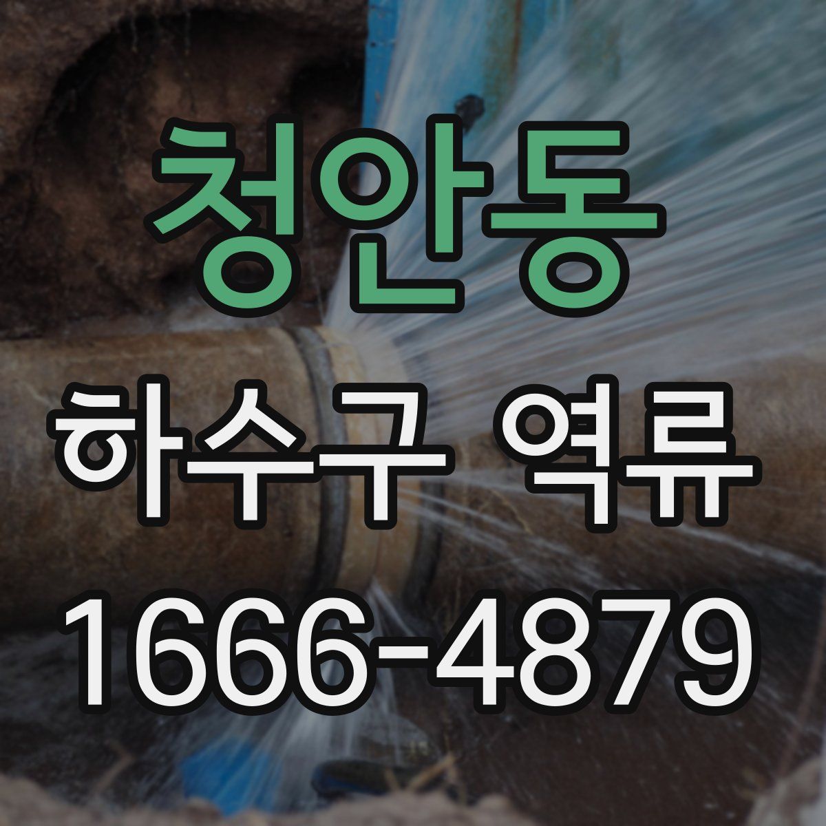 청안동 하수구 역류