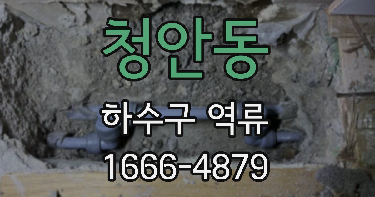 청안동 하수구 역류