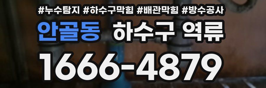 안골동 하수구 역류