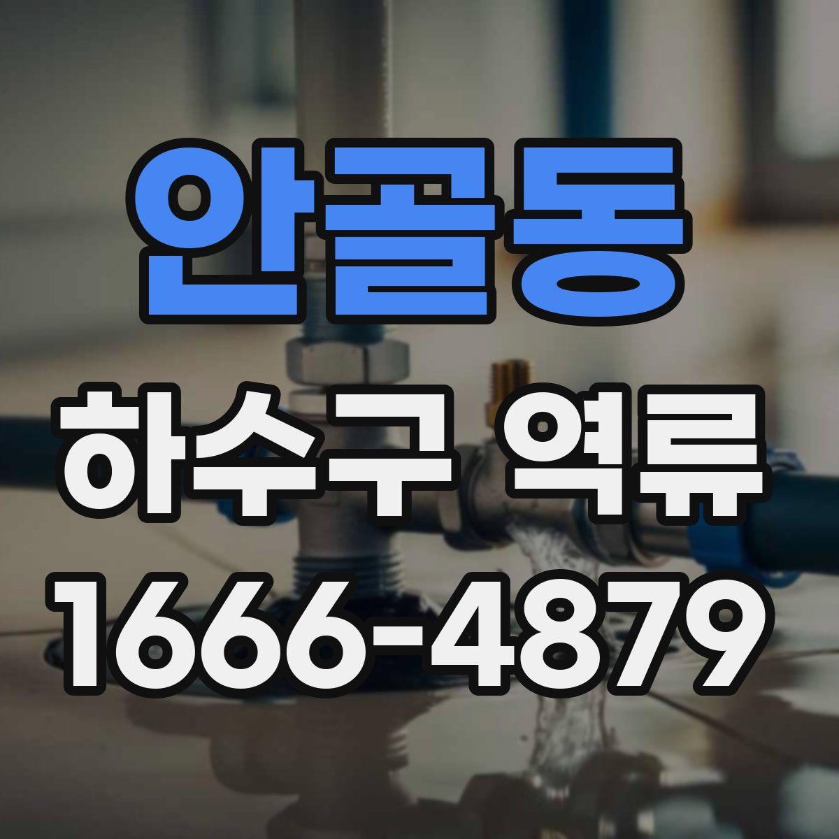 안골동 하수구 역류