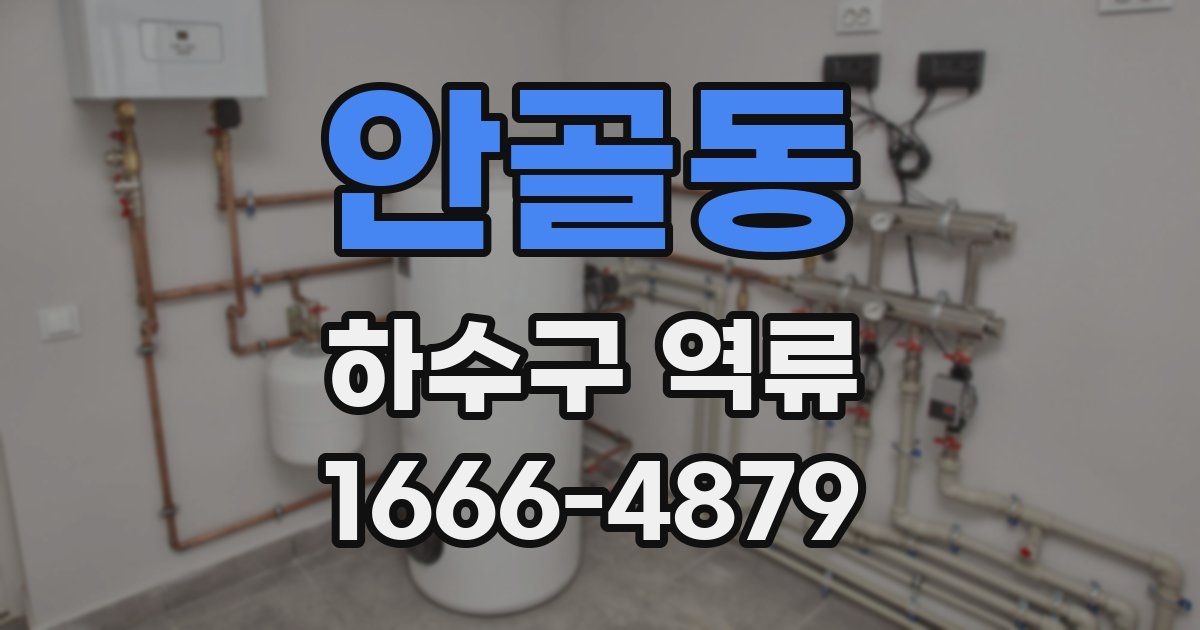 안골동 하수구 역류