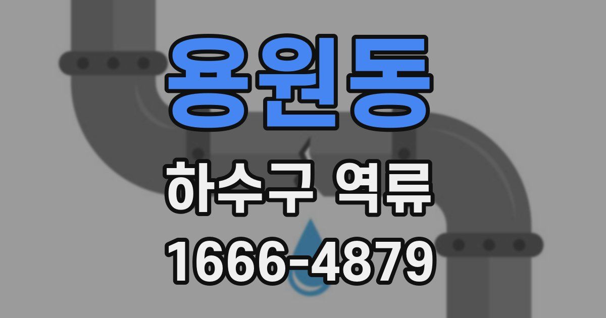 용원동 하수구 역류