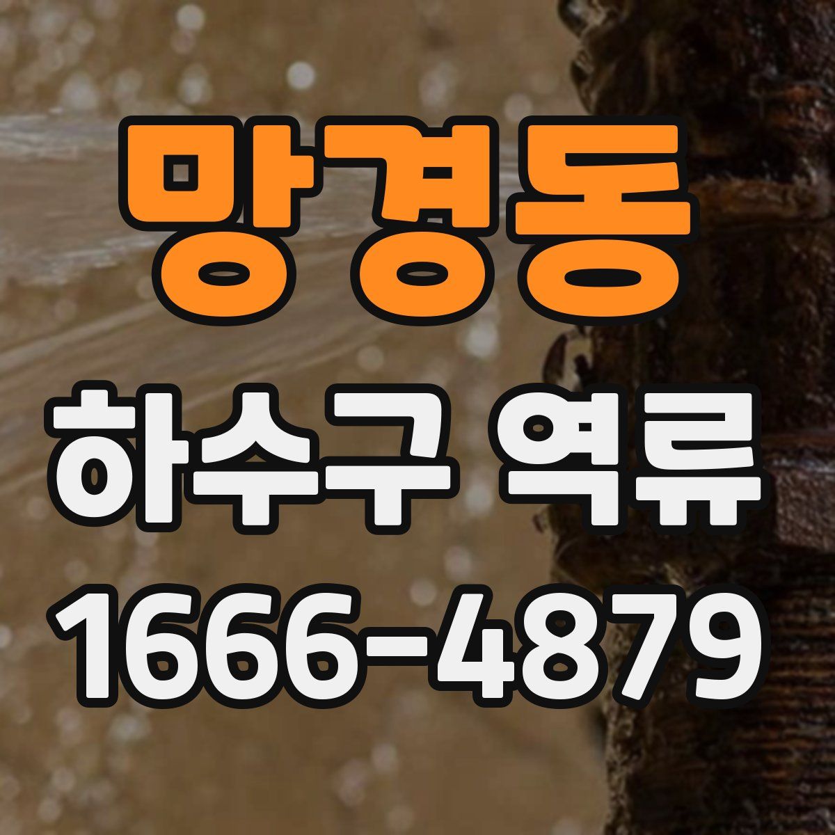 망경동 하수구 역류