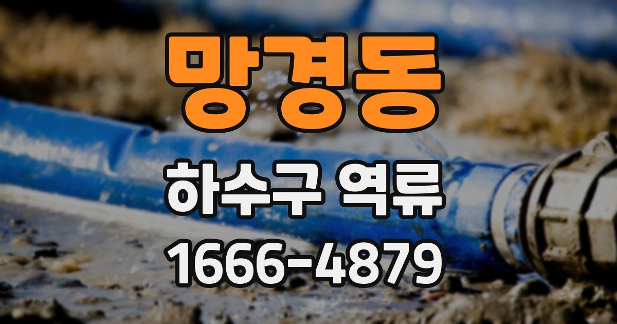 망경동 하수구 역류