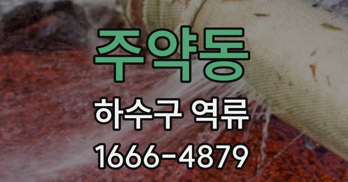 주약동 하수구 역류
