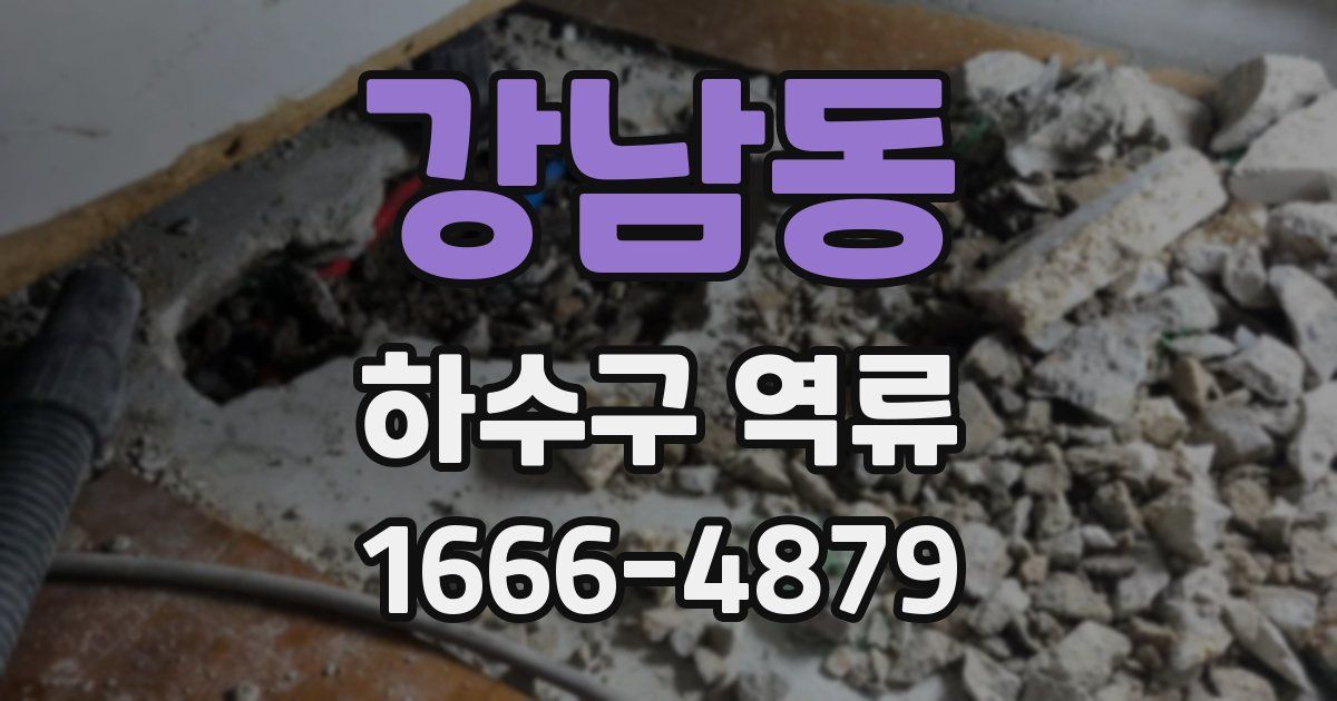 강남동 하수구 역류