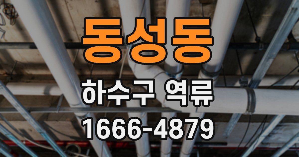 동성동 하수구 역류