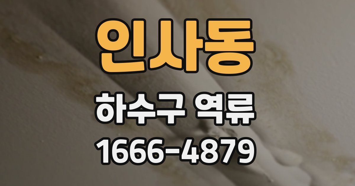 인사동 하수구 역류