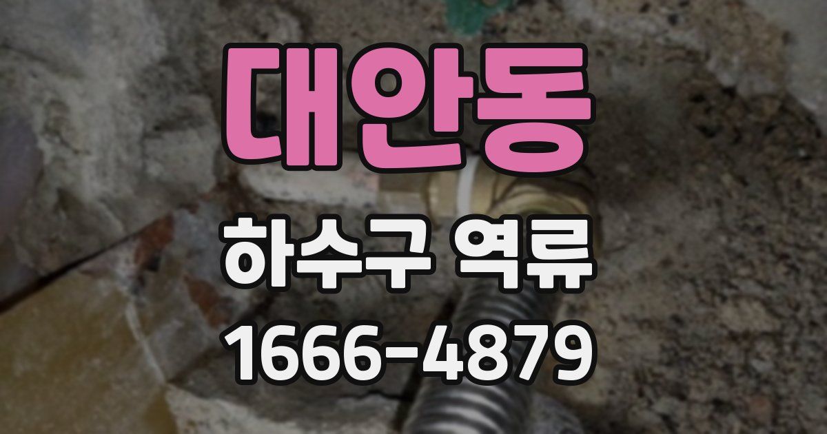 대안동 하수구 역류