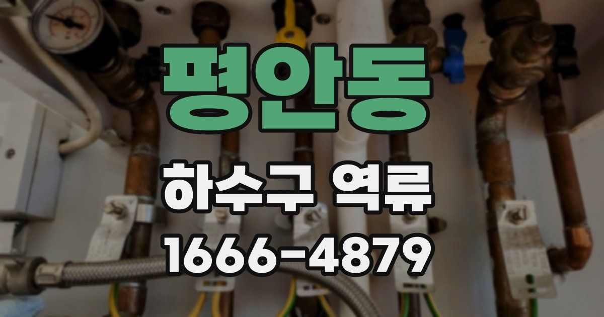 평안동 하수구 역류