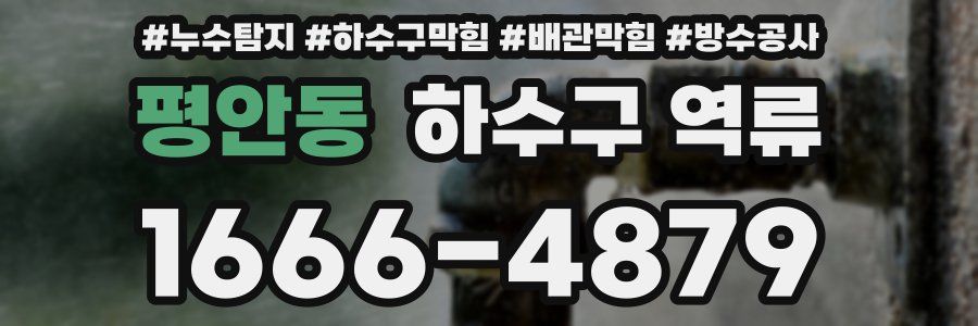 평안동 하수구 역류