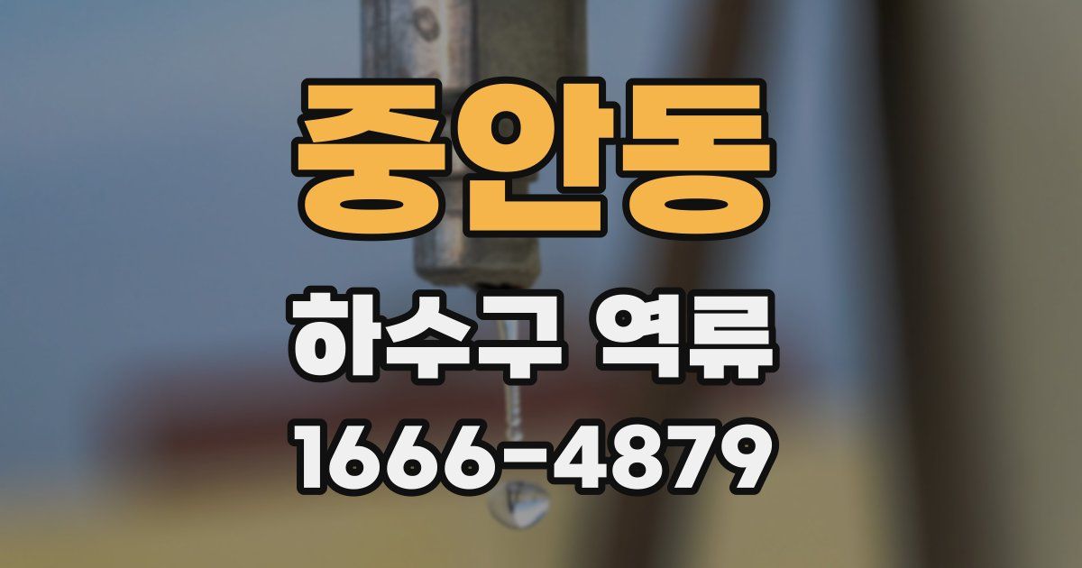 중안동 하수구 역류